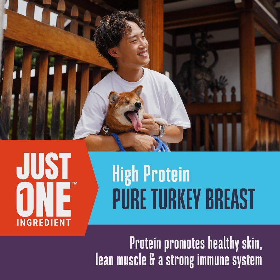 Whole Life Dog Just One Turkey - Food Snacks High In Protein review and price