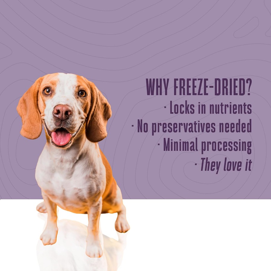 Whole Life Dog Just One Turkey - Food Snacks High In Protein review and price