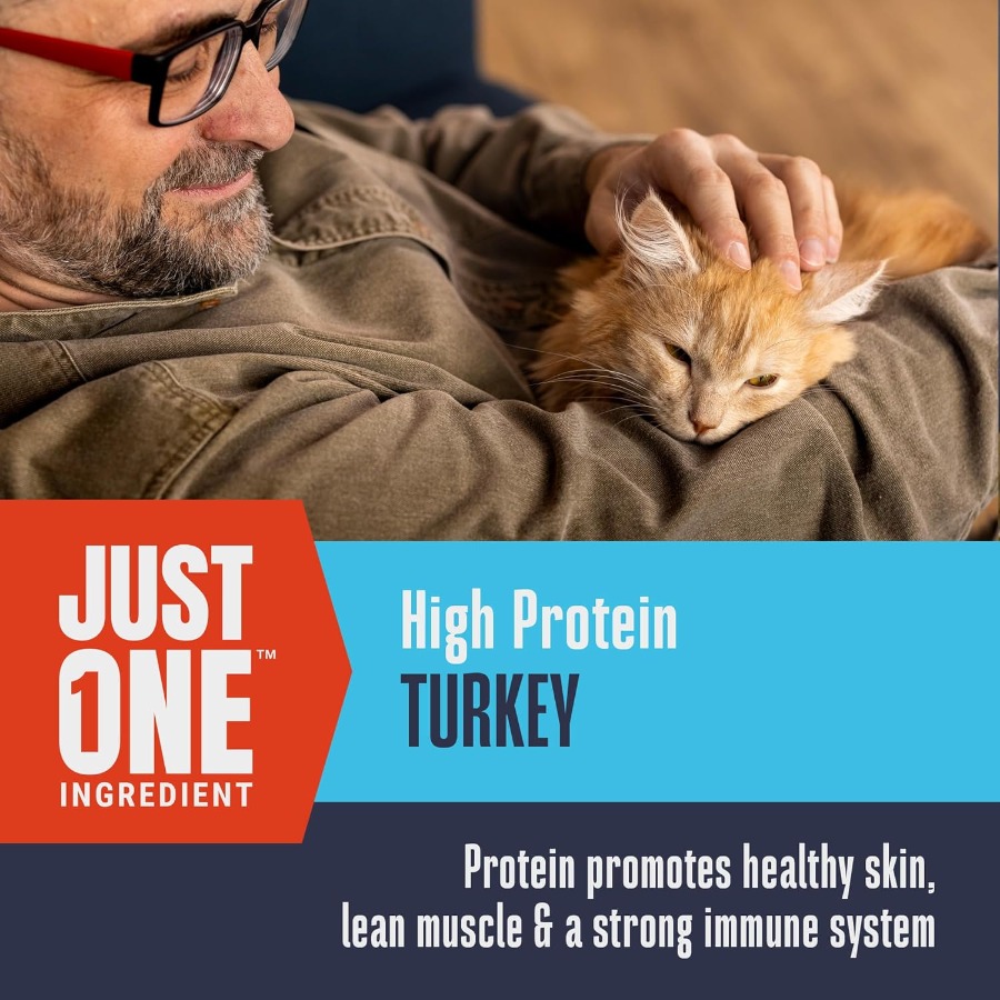 Whole Life Cat Just One Turkey - Food Snacks High In Protein review and price