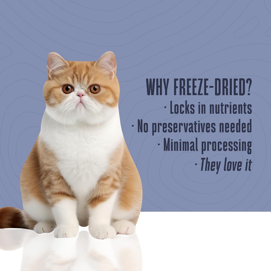 Whole Life Cat Just One Turkey - Food Snacks High In Protein review and price