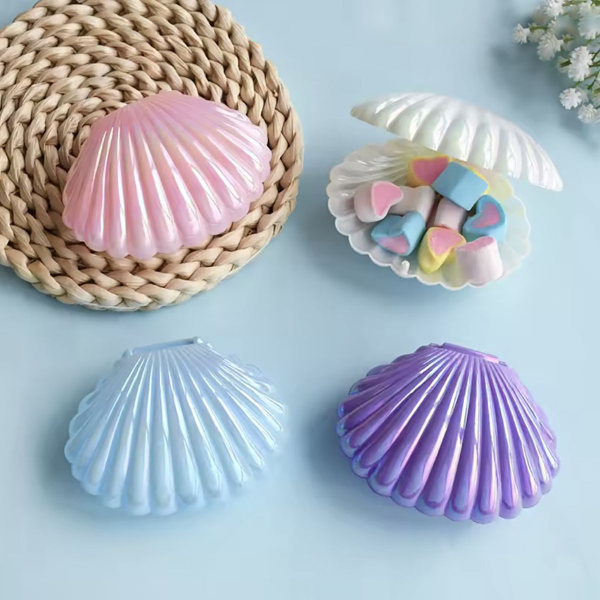 5pcs Shell Candy Gift Box Plas - Food Snacks For Kids review and price