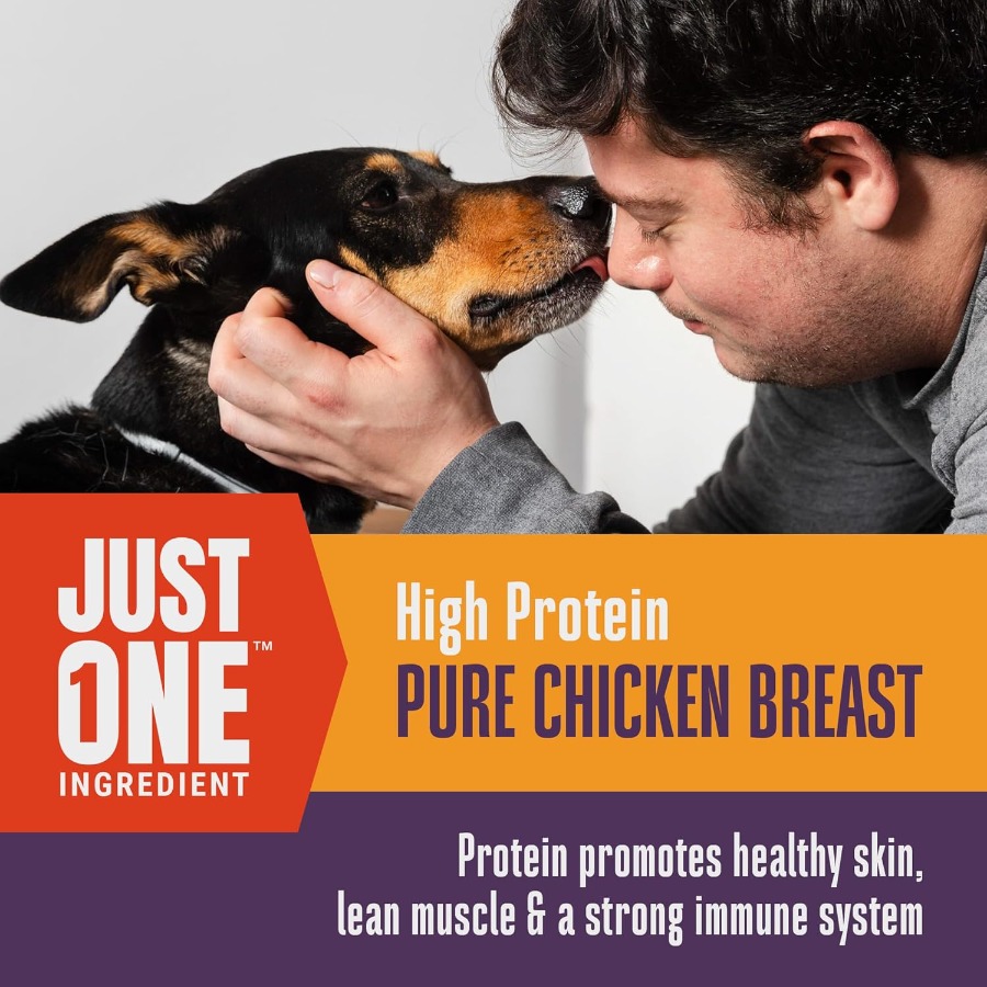 Whole Life Dog Just One Chicke - Food Snacks High In Protein review and price