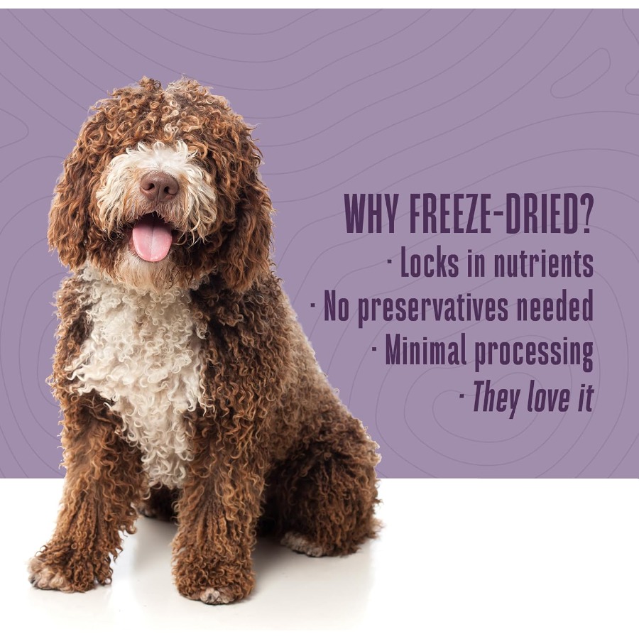 Whole Life Dog Just One Chicke - Food Snacks High In Protein review and price